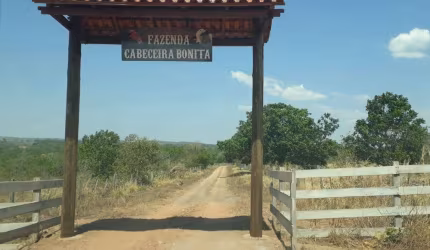 Fazenda Cabeceira Bonita em Primavera do Leste