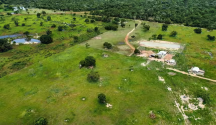 Fazenda à venda na Zona Rural, Nossa Senhora do Livramento 
