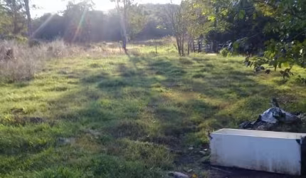 Sítio 30 hectares em Bom Jardim-Coqueiral Nobres MT