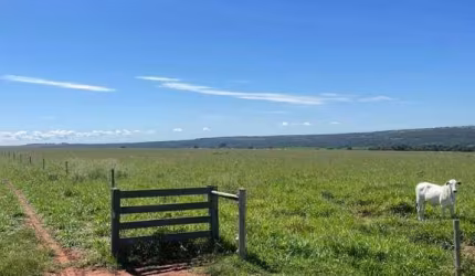 Fazenda em Rondonópolis Mato Grosso
