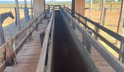 Fazenda em Barra do Garças dupla aptidão