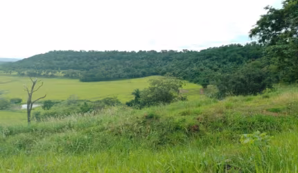 Fazenda a 7km de Jaciara na beira do asfalto