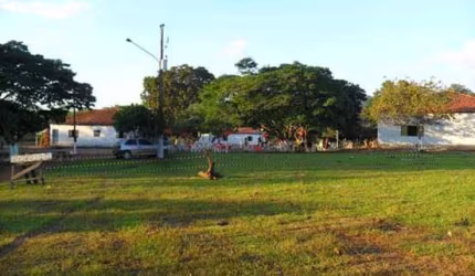 OPORTUNIDADE FAZENDA PROXÍMO A CUIABÁ
