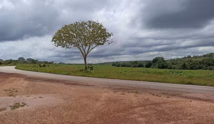 Fazenda entre os municipios de Campo Verde e Nova Brasilandia