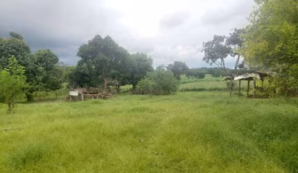 Fazenda formada na Guia apenas a 43 km de Cuiaba