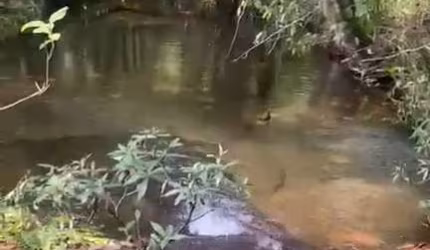 Fazenda dupla aptidão em  Jaciara Mato Grosso