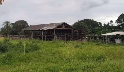 Imóvel à Venda Propriedade Rural - NS de Livramento - 54 km de Cuiabá