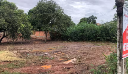 Terreno Avenida Região Três Barras ideal para Madeireiras, lava Jato
