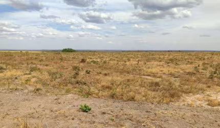 OPORTUNIDADE Fazenda em Campo Verde Mato Grosso de 1300 Hectares