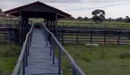 Fazenda em Poconé, Mato Grosso de 8870 Hectares