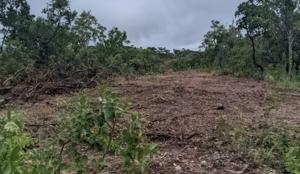 FAZENDA 158 ALQ PARANÃ 18 MIL O ALQ.