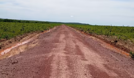 fazenda ideal para soja na LAGOA DO To. a 37 mil o alqueire
