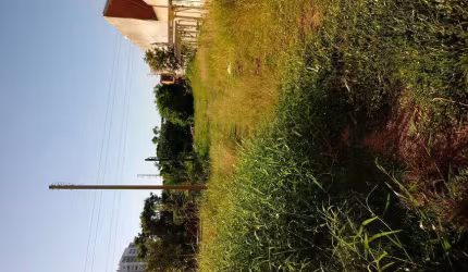 CHÁCARA COM 23 HECTARES, ARÁVEL, CASA ANTIGA, MUITO VERDE E LAGOA.