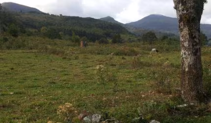 Chácara com 105hectares em Caráa-com luz,potreiros, 4 açudes e internett