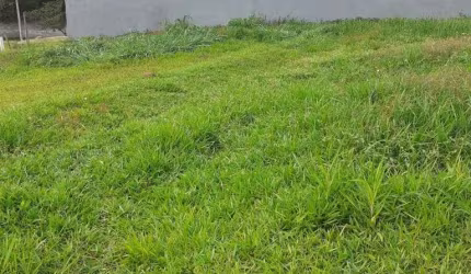 Terreno para Venda Condomínio Veneza em Cezar de Souza  Mogi das Cruzes.