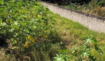 Terreno residencial para Venda Vila Oliveira, Mogi das Cruzes