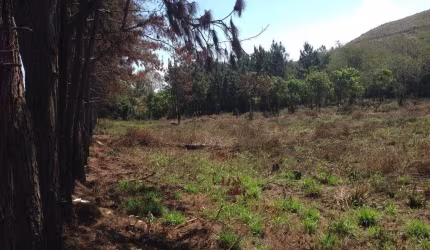Terreno a Venda Cezar de Souza Mogi das Cruzes