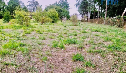 Terreno à venda, 5349 m² por R$ 1.300.000,00 - Pinheirinho - Itu/SP