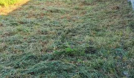 Terreno com excelente localização