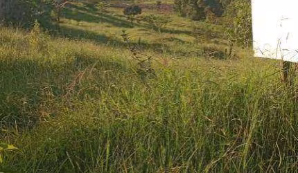 Terreno à venda, 240 m² por R$ 94.000,00 - Pitangueiras - Pouso Alegre/MG
