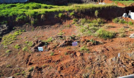 Terreno à venda, 300 m² por R$ 150.000 - Vergani - Pouso Alegre/MG