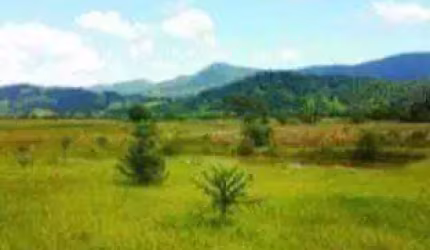 Terreno à venda, 3000 m² por R$ 320.000 - Cervo - Pouso Alegre/MG