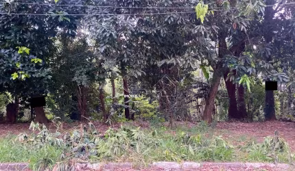 Terreno à venda em Caieiras-SP,  bairro Crisciuma com 295,12m² !
