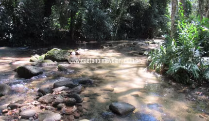 Propriedade c/ Cachoeira Privada