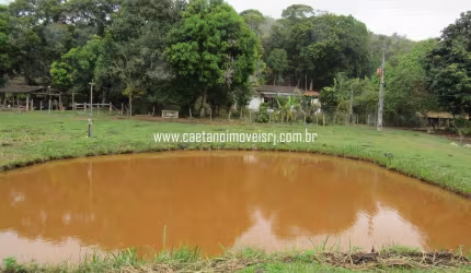 Fazendinha C/ 25 Hectares e Muito Potencial (Raridade)