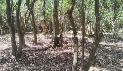 Terreno Escriturado em Localização Nobre