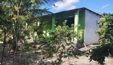 Chácara C/ Diversas Frutíferas e Acesso Asfaltado (Entrada de 50 Mil Reais + Parcelas)