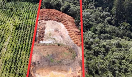 Terreno Industrial em São Bento do Sul – Excelente Localização!