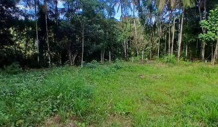 Terreno Extenso em São João do Itaperiú