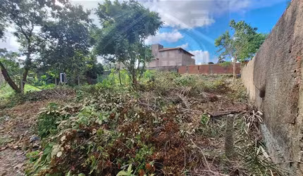 Terreno para Venda em São José de Ribamar, Araçagy