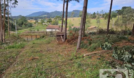 Chácara para Venda em Campo Alegre, Bateias de Baixo