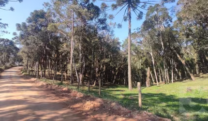 Chácara para Venda em Campo Alegre, Saltinho