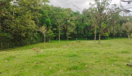 Sítio para Venda em Joinville, Vila Nova