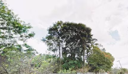Terreno à venda, 1000 m² por R$ 850.000,00 - Chácaras Reunidas Guaio - Suzano/SP