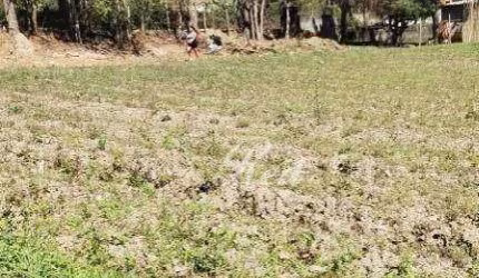 Área à venda, 4989 m² por R$ 1.500.000,00 - Meu Cantinho - Suzano/SP
