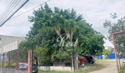 Terreno para alugar, 605 m² por R$ 10.267,18/mês - Vila Figueira - Suzano/SP