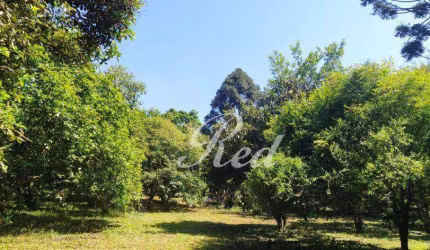 Chácara com 3 dormitórios à venda, 7485 m² por R$ 570.000,00 - Estância São Luís - Suzano/SP