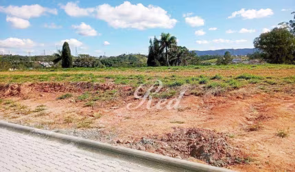 Terreno à venda, 300 m² por R$ 380.000,00 - Vila Oliveira - Mogi das Cruzes/SP