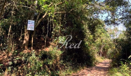 área 5.000m com Escritura