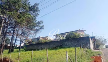 Terreno à venda, 216 m² por R$ 220.000,00 - Cidade Edson - Suzano/SP
