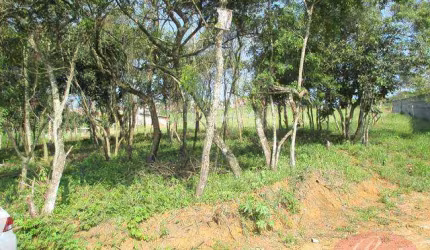 Terreno à venda, 36155 m² por R$ 1.900.000,00 - Vila São Pedro - Suzano/SP