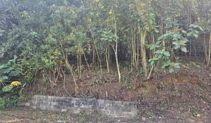 Ótimo terreno - Vila Suissa - Ribeirão Pires - SP