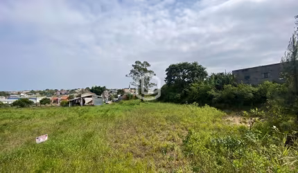 Terreno Anel Viário