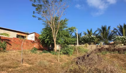 Chácara com 1 dormitório à venda, 46100 m² por R$ 530.000,00 - Pirangi do Norte (Distrito Litoral) - Parnamirim/RN
