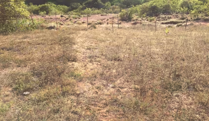 Terreno em Pirangi com 4,6 hectares em Pirangi do Norte