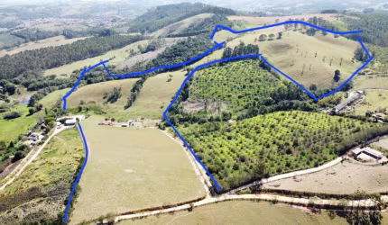 Sítio para Venda em Pinhalzinho, zona rural, 3 dormitórios, 1 suíte, 3 banheiros, 2 vagas